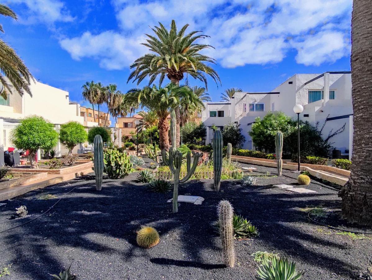 Red Hibiscus Corralejo Irent Fuerteventura Daire Dış mekan fotoğraf
